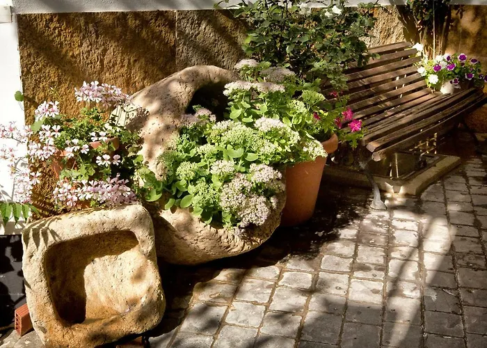 بيت ضيافة Soledao Los Baños